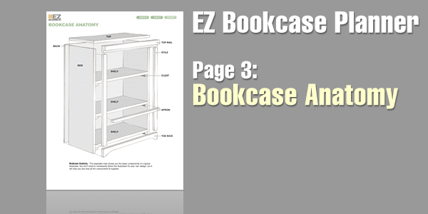 bookcase anatomy